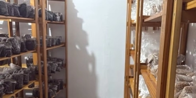  - 