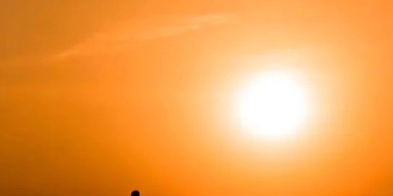 Outono - Reprodução