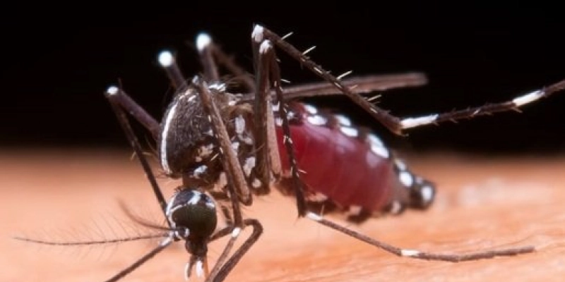 O número já é quase o dobro de todo o ano passado - Freepik