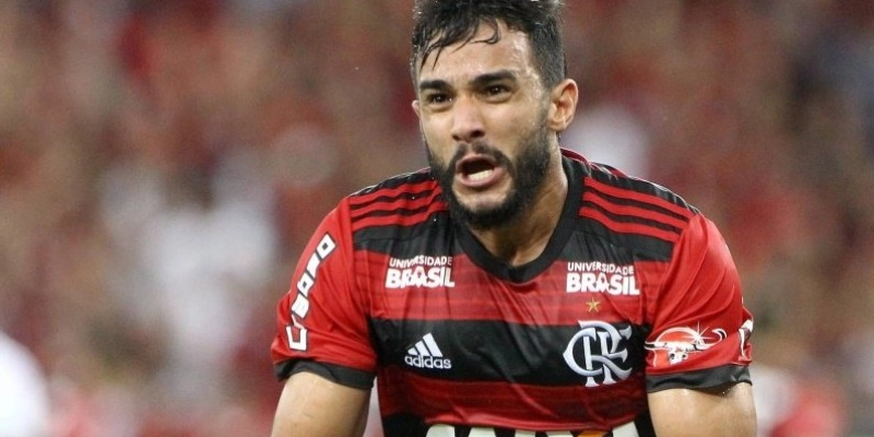  - Reprodução