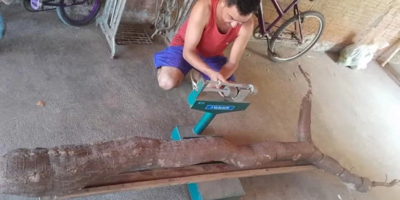 Agricultor colhe macaxeira de 44 quilos e mais de 3 metros no interior do RN - Arquivo pessoal