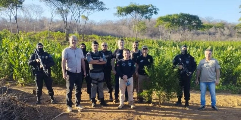 Polícia Civil localizou a área na zona rural de Malta. - Reprodução