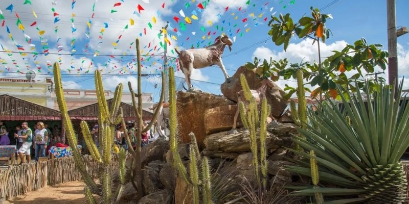 Festa do Bode Rei que acontece em Cabaceiras, Cariri da Paraíba - Divulgação
