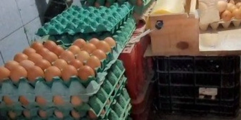 Foram apreendidos rótulos falsos, um notebook, um celular e as caixas de ovos com rotulagem irregular - Divulgação PCPB