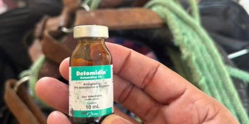 Medicamentos de uso veterinário foram apreendidos durante operação, na Paraíba - Reprodução / CRMV-PB