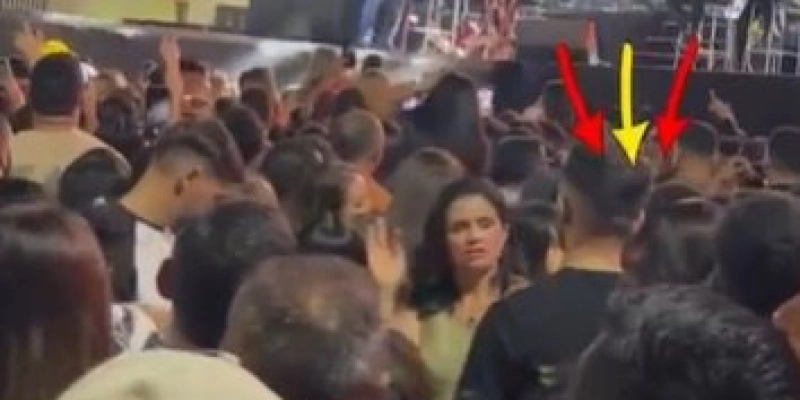 Mãe emociona ao ser flagrada traduzindo show em Libras para o filho - Redes Sociais