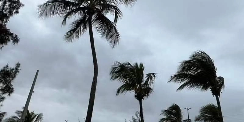 Ventos fortes - Reprodução