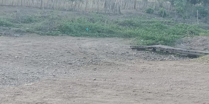 Leito do rio Piancó em Boa Ventura - Milton Jr./DOL