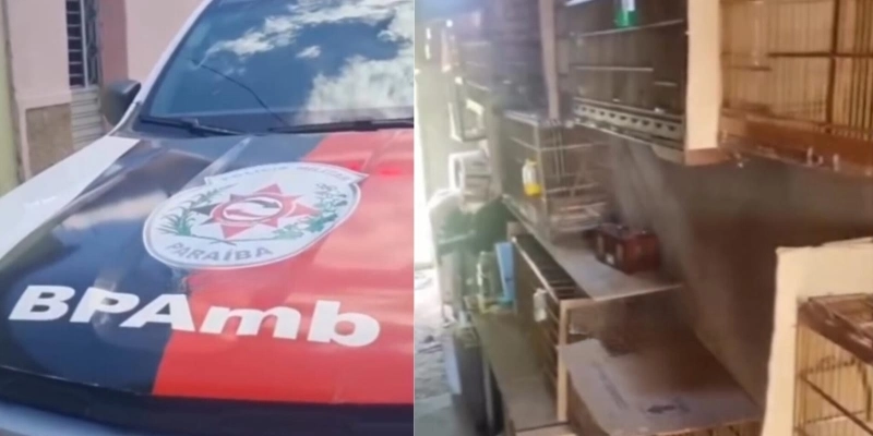 Polícia Militar Ambiental - Reprodução