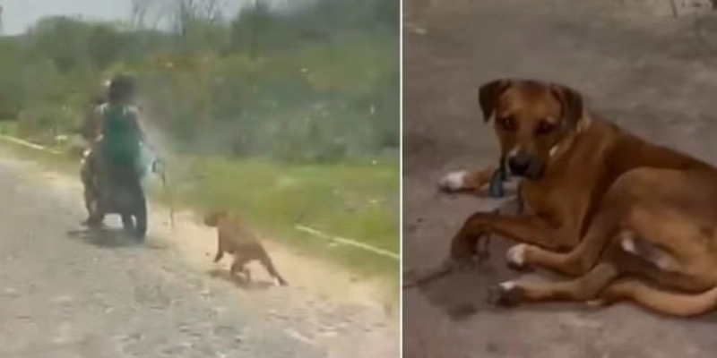 Casal é preso por arrastar cão em moto em Camocim, no litoral do Ceará - Miquéias Santos/ Arquivo pessoal