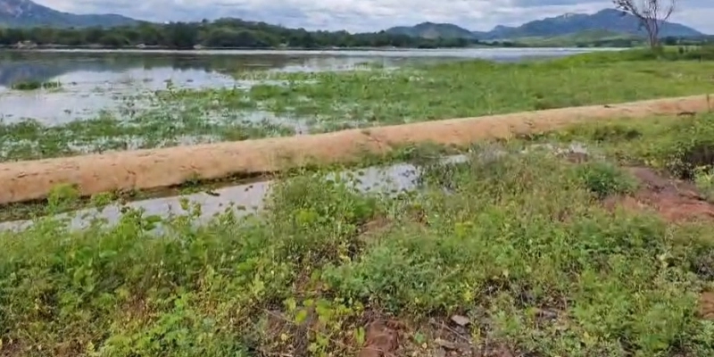 Açude que abastece Itaporanga inicia sangria após chuvas na região - Pedro Filho
