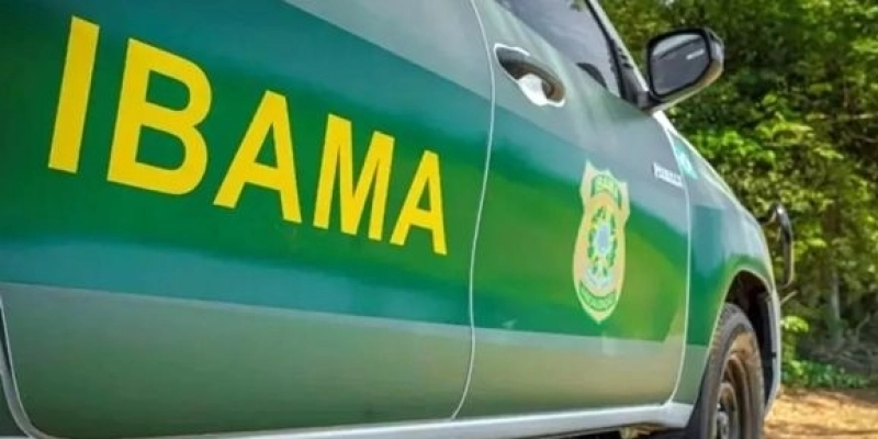 Viatura do IBAMA - Reprodução