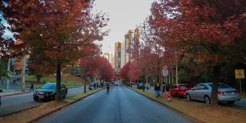  - Geraldo Bubniak/AEN