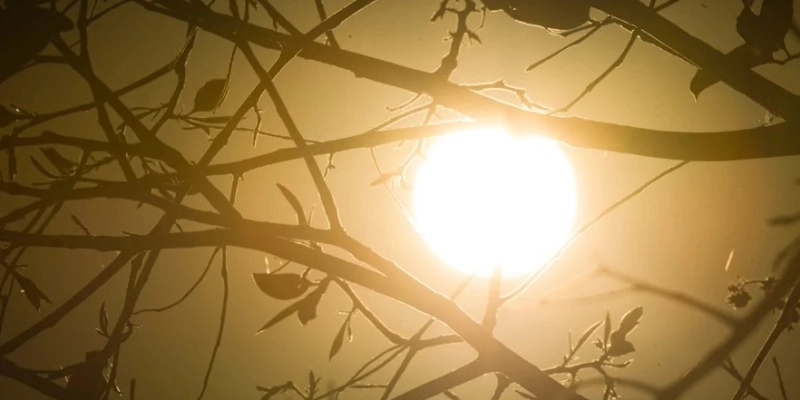  - Vinícius Schmidt /Metrópoles @vinicius