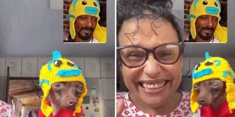 Goiana faz sucesso após Snoop Dogg compartilhar pinscher com look inspirado no rapper, Goiás - Reprodução/Instagram Snoop Dogg