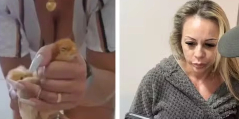 Empresária é presa por fazer vídeos matando animais esmagados e vender na internet - Reprodução/TV Globo
