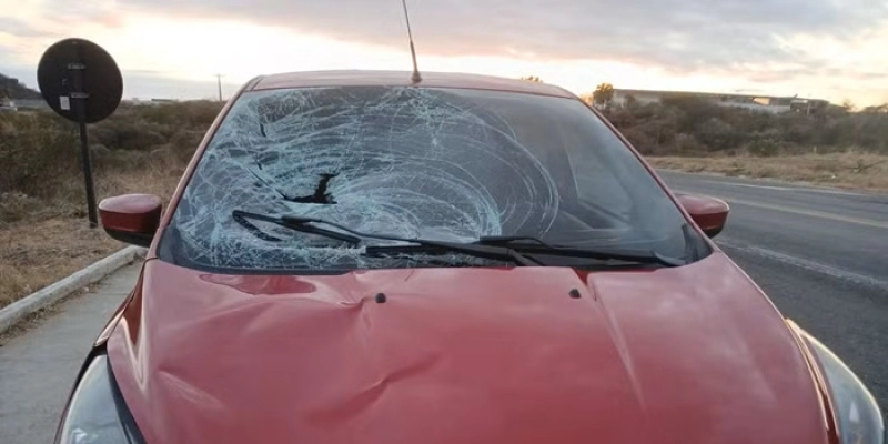 Homem morre após ser atropelado na BR-230, em Cajazeiras - Reprodução - Polícia Rodoviária Federal 
