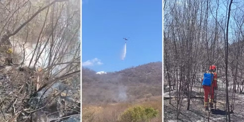 Incêndio no Sertão da Paraíba é controlado após destruir cerca de 800 hectares de vegetação - Reprodução/Corpo de Bombeiros
