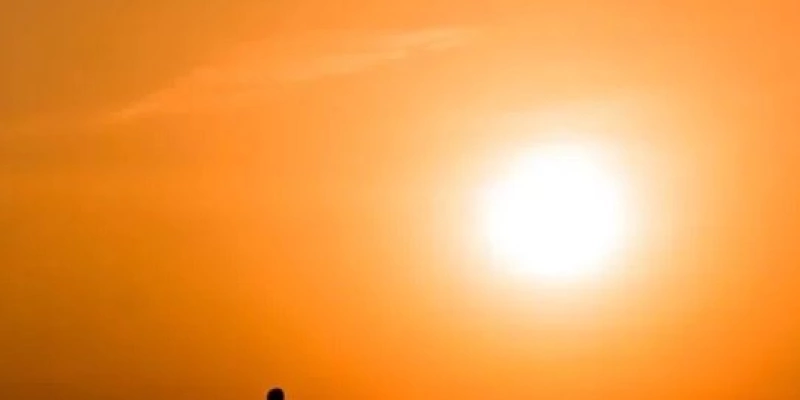 Outono - Reprodução