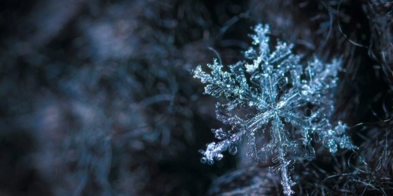 Imagem ilustrativa - Pexels