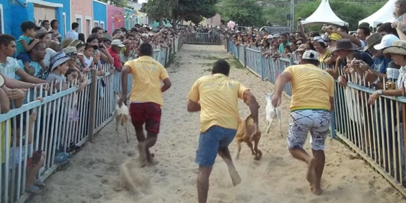 'Fórmula Bode' em Cabaceiras - Taiguara Rangel/G1
