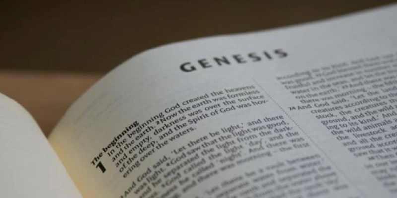 Imagem ilustrativa - Foto: Pexe