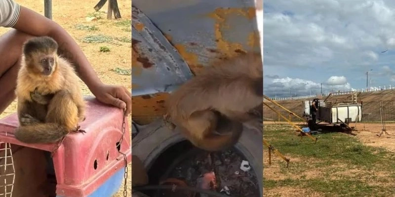  - Divulgação/Polícia Civil