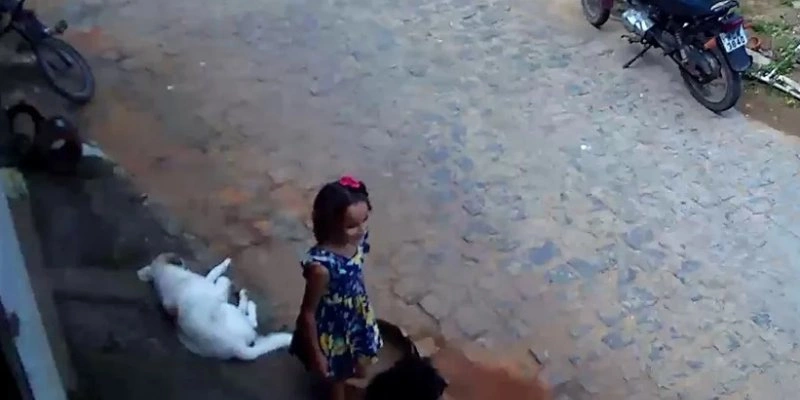 Vídeo mostra Ana Sophia na frente da casa de uma amiga, em Bananeiras - Câmeras de segurança