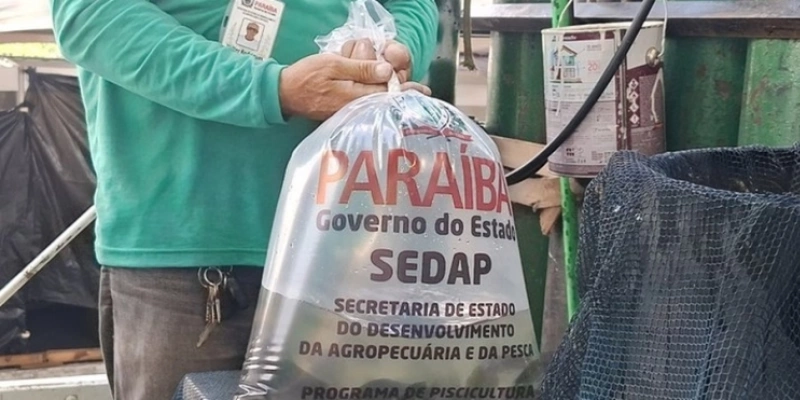 Ação reforça alimentação e renda no campo - Divulgação 