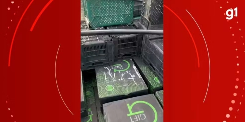 Material foi apreendido dentro de caminhão na BR-230, próximo à cidade de Sobrado, no interior - PRF