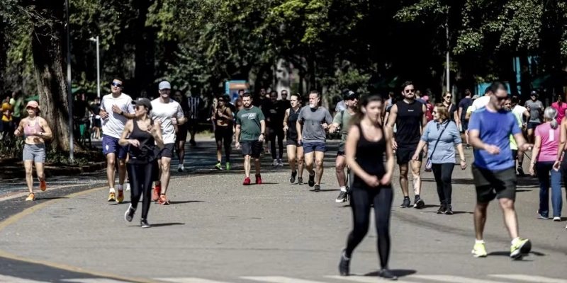 Parque do Ibirapuera, em São Paulo, em foto de agosto de 2024 - Paulo Pinto/Agência Brasil