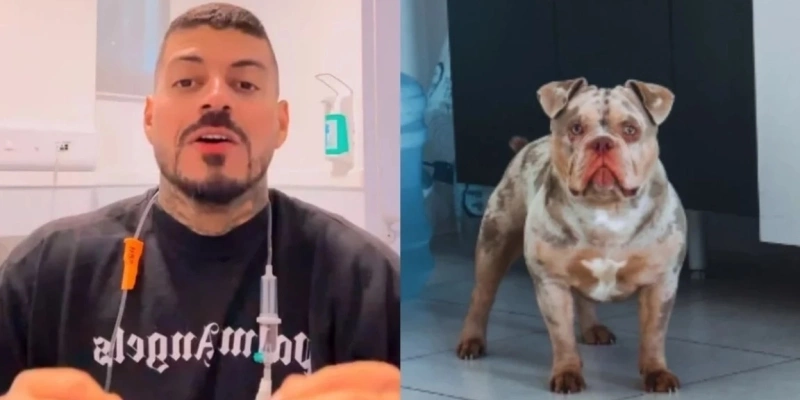 Influenciador foi parar no hospital após cachorro comer seu dedo do pé - Reprodução/Redes Sociais