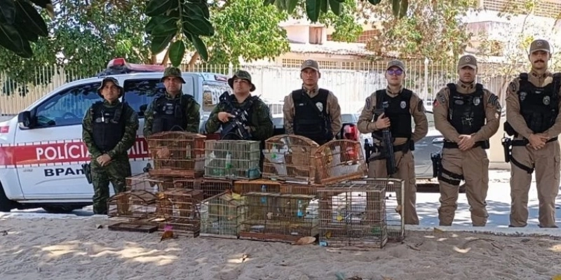  - Polícia Militar/Divulgação