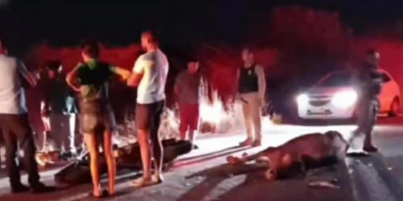 Casal morre após moto colidir com vaca solta na pista em Coremas - Redes Sociais
