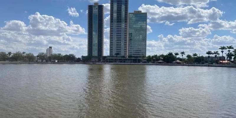 Mais de 5 toneladas de peixes mortos já foram retiradas do Açude Velho, em Campina Grande - Artur Lira/TV Paraíba