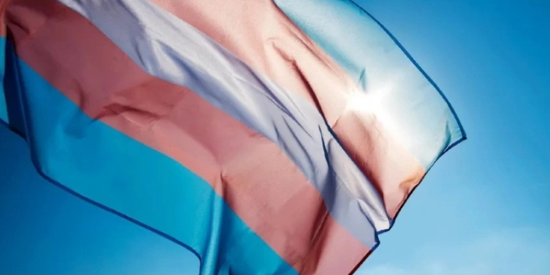 Bandeira Trans. Foto: Observatório UOL. Bandeira Trans - Reprodução Observatório uol